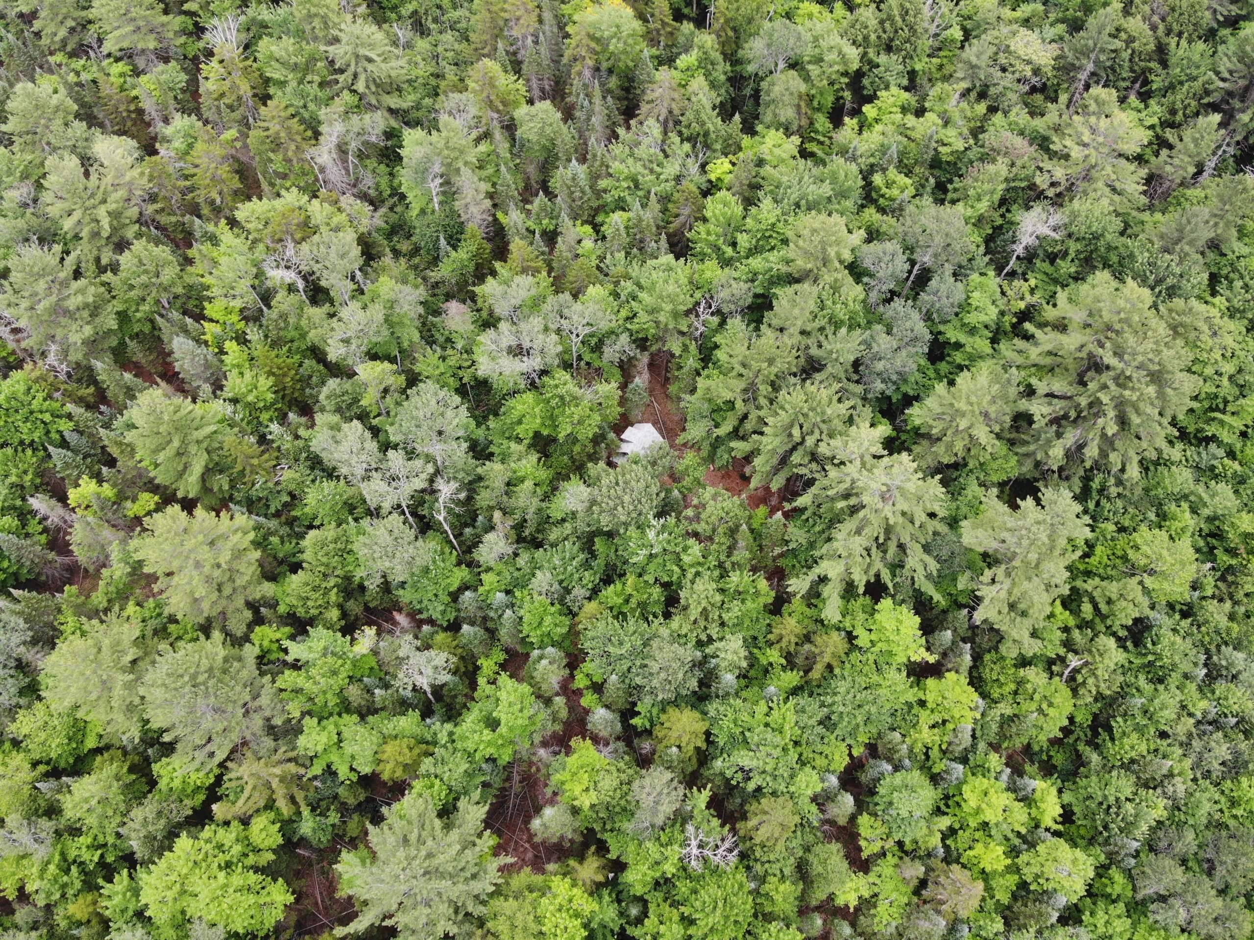 Bear Cave Road, Vacant land for sale in Muskoka Lakes, 25 acres, Jennifer Parker