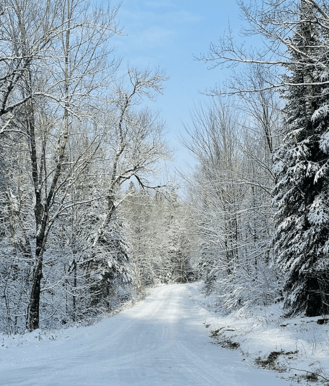 Muskoka Cottage getting ready for winter tips